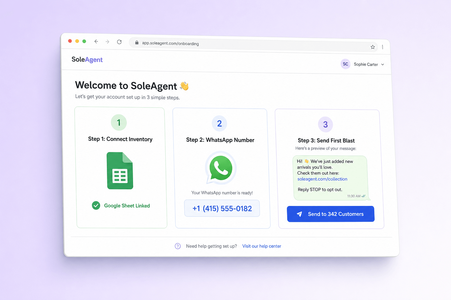 Brand and marketing-site concept board for SoleAgent
